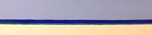 ארז וקסמן - 393